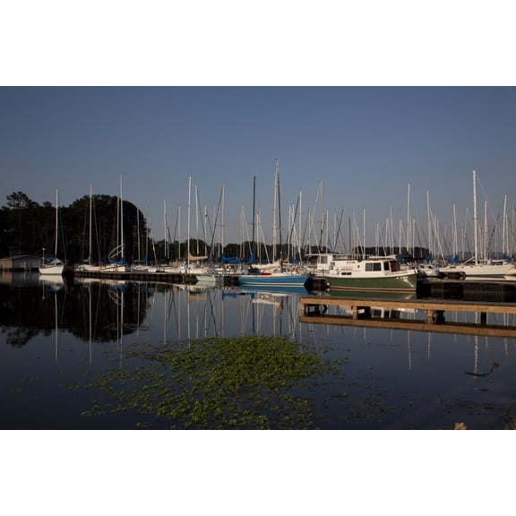 Print: Sailboats On Lake Guntersville, Guntersville Alabama, 2010
