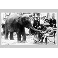 thumbnail image 1 of Print: Sheba Eating Out Of Children's Hand, circa 1915, 1 of 4