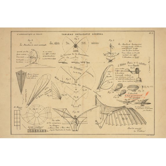 Print: Tableau Explicatif General. Les Effets Du Vol Aerien Actif, 1852