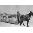 thumbnail image 1 of Print: Taking A Government Load To Copper Center, circa 1900, 1 of 4