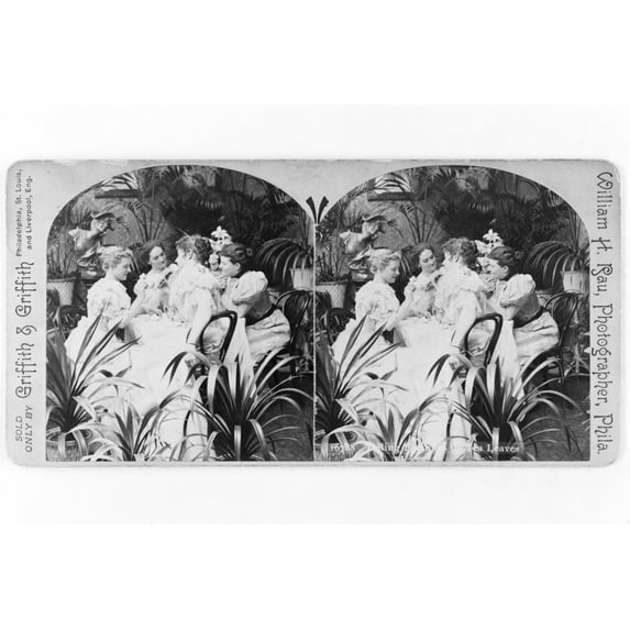 Print: Telling Fortunes By Tea Leaves, 1897