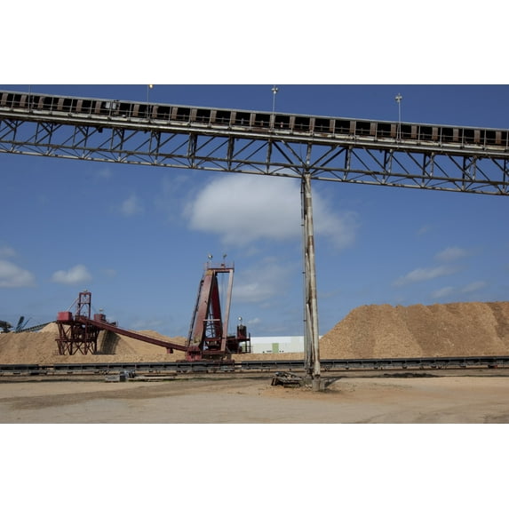 Print: The Alabama River Pulp Company And The Claiborne Mill Complex