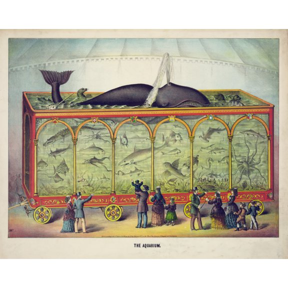 Print: The Aquarium