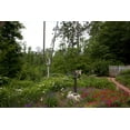 thumbnail image 1 of Print: The Beautiful Garden Of Evelyn And Billy Bond In Monroeville, 1 of 4