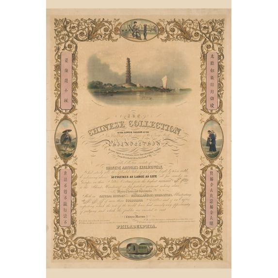 Print: The Chinese Collection In The Lower Saloon Of The New Building At
