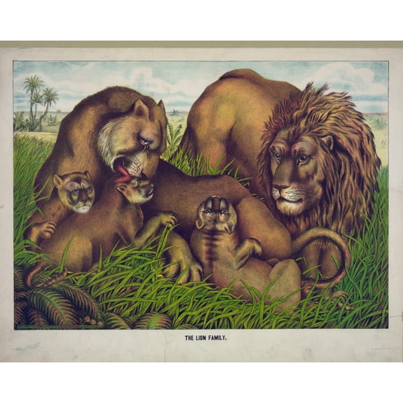 Print: The Lion Family, 1874