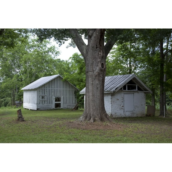 Print: The Moore/webb/holmes Plantation And Out Buildings (Circa 1819)