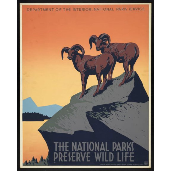 Print: The National Parks Preserve Wild Life, circa 1936