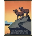 thumbnail image 1 of Print: The National Parks Preserve Wild Life, circa 1936, 1 of 4