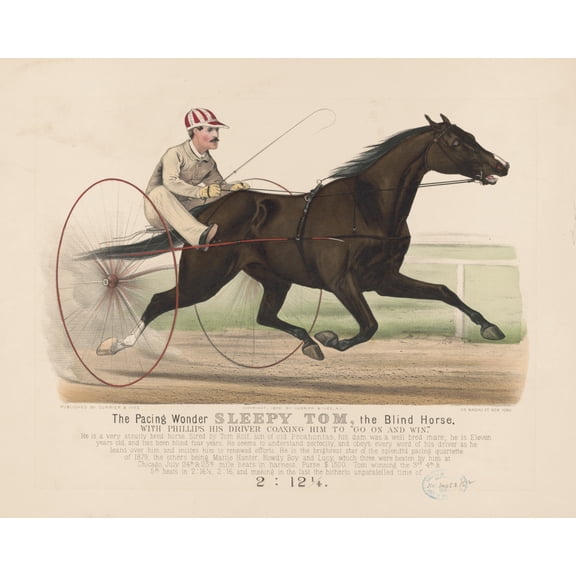 Print: The Pacing Wonder Sleepy Tom, The Blind Horse: With Phillips, His
