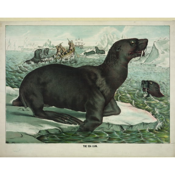 Print: The Sea Lion, 1874