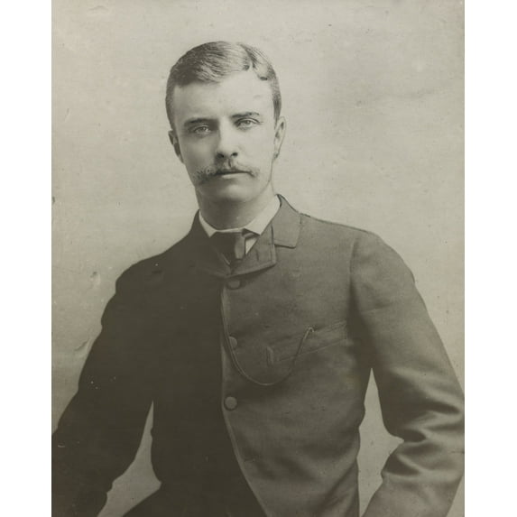 Print: Theodore Roosevelt As Assemblyman In 1884