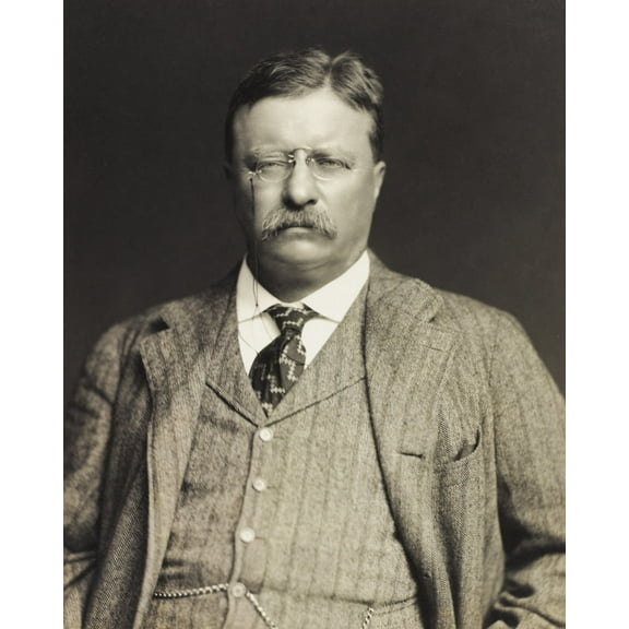 Print: Theodore Roosevelt, Half-Length Portrait, Facing Front, 1911