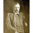 thumbnail image 1 of Print: Theodore Roosevelt, Half-Length Portrait, Seated With Hand, 1 of 4
