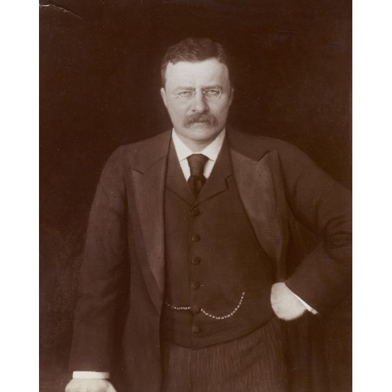 Print: Theodore Roosevelt, Half-Length Portrait, Standing With Hand At