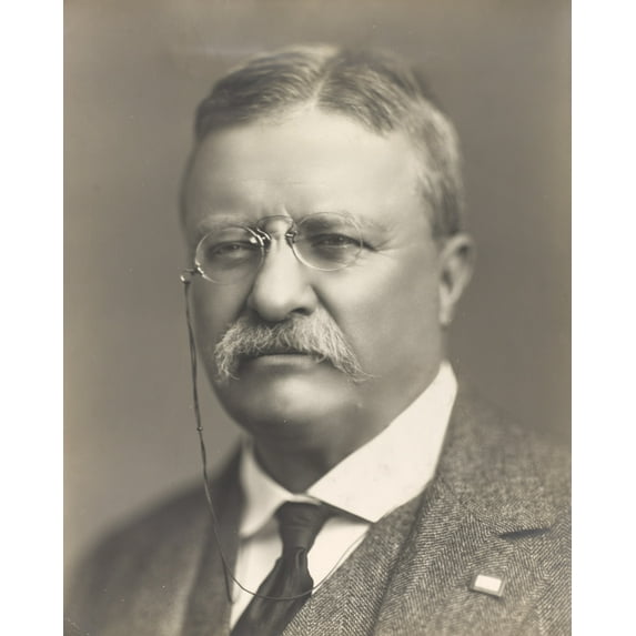 Print: Theodore Roosevelt, Head-And-Shoulders Portrait, Facing Front, 1918