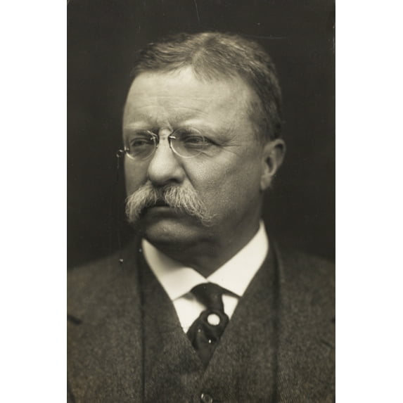 Print: Theodore Roosevelt, Head-And-Shoulders Portrait, Facing Left, 1915