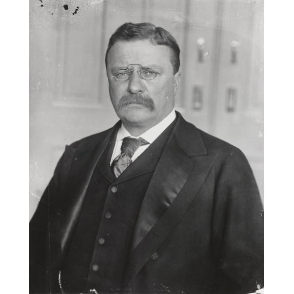 Print: Theodore Roosevelt, Pres., Half-Length Portrait, Facing Left, circa