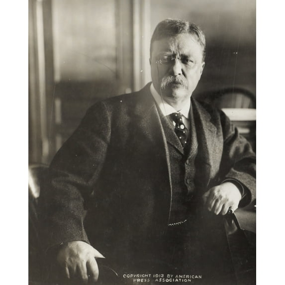 Print: Theodore Roosevelt, Seated, Leaning On Desk, Facing Front, 1912