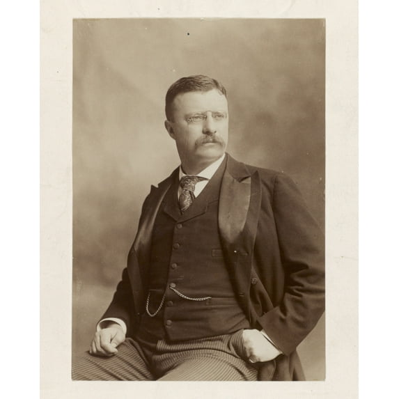 Print: Theodore Roosevelt, Three-Quarter Length Portrait, Seated, Left