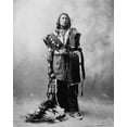 thumbnail image 1 of Print: Thomas American Horse, Full-Length Portrait, Standing, Facing, 1 of 4