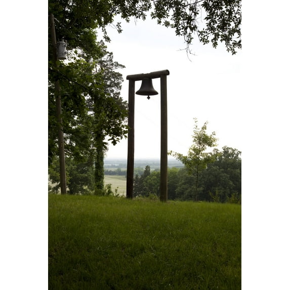 Print: Thornhill Plantation, Greene County, Alabama, 2010