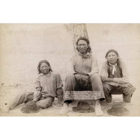 Print: Three Of Uncle Sam's Pets. We Get Rations Every 29 Days. Our Pulse