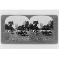 thumbnail image 1 of Print: Tilling The Soil With Wooden Plow And Oxen, Queretaro, Mexico, 1919, 1 of 4