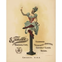 Print: Tosetti Brewery, Lager Beer, Chicago, Illinois, 1894