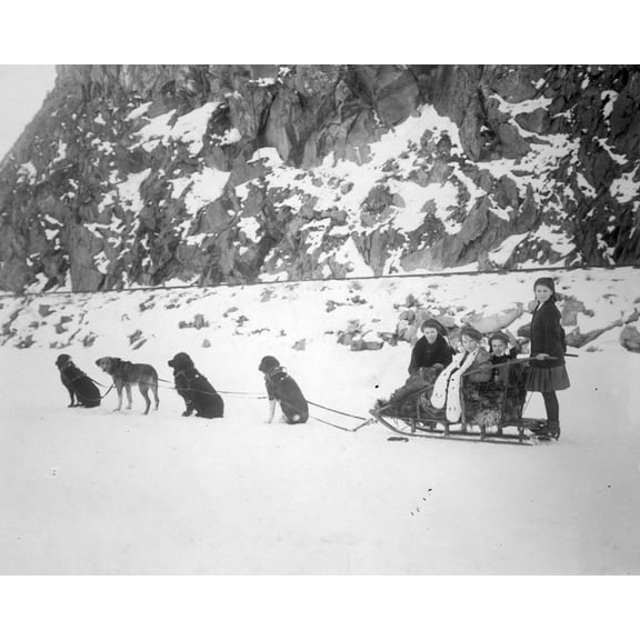 Print: Traveling By Dog Sled, circa 1900