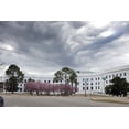 thumbnail image 1 of Print: Trees Bloom In Front Of The State Government Building, Montgomery, 1 of 4