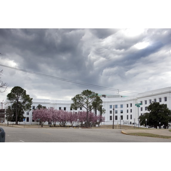 Print: Trees Bloom In Front Of The State Government Building, Montgomery