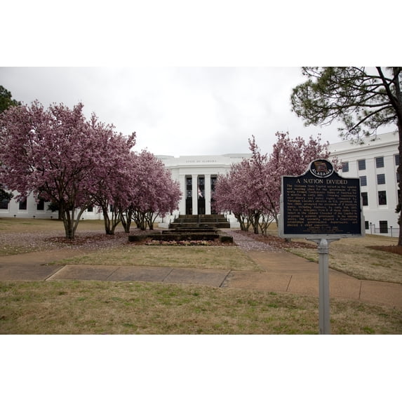Print: Trees Bloom In The Spring Near Government Buildings In Montgomery