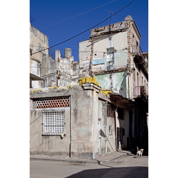 Print: Typical Small Neighborhood Street Showing Decay And Stray Dogs