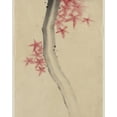 thumbnail image 1 of Print: Unidentified, Possibly A Tree Branch With Red Star-Shaped Leaves Or, 1 of 4