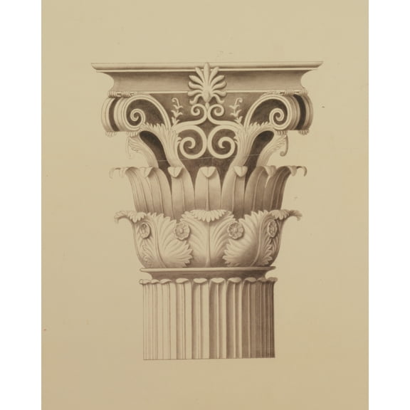 Print: United States Capitol, Washington, D.C. Column Capital Variation