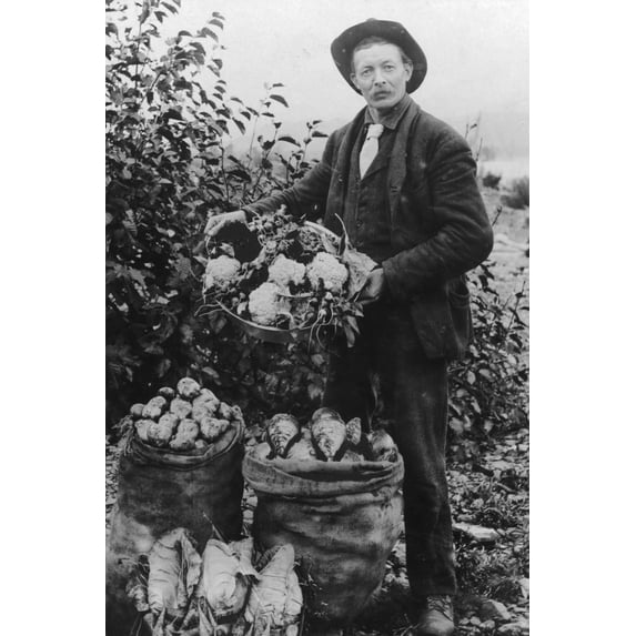 Print: Vegetables, circa 1900