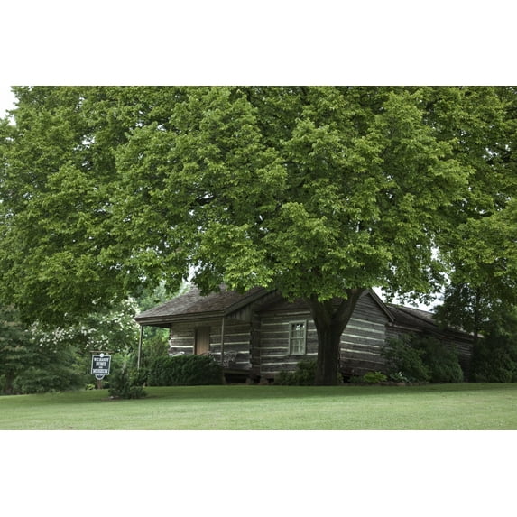 Print: W.C. Handy Home And Museum, Florence, Alabama, 2010