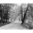 thumbnail image 1 of Print: Walking Path At Rock Creek Park, Washington, D.C., circa 1918-1920, 1 of 4