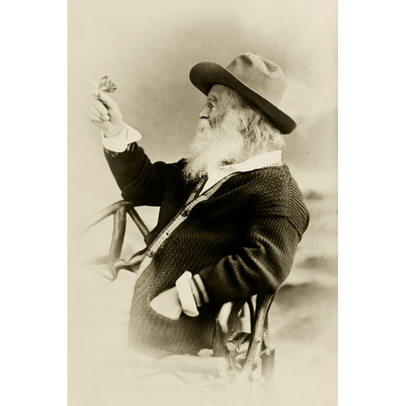 Print: Walt Whitman, Half-Length Portrait, Seated, Facing Left, Wearing