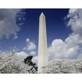 thumbnail image 1 of Print: Washington Monument And Cherry Trees, Washington, D.C., 2007, 1 of 4