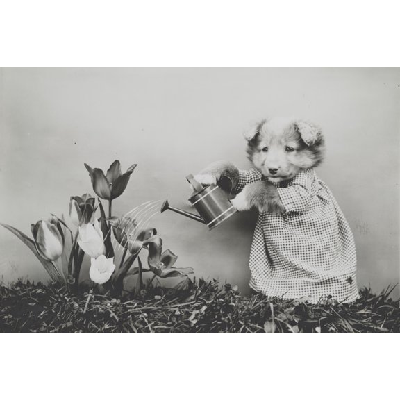 Print: Watering The Flowers, 1914