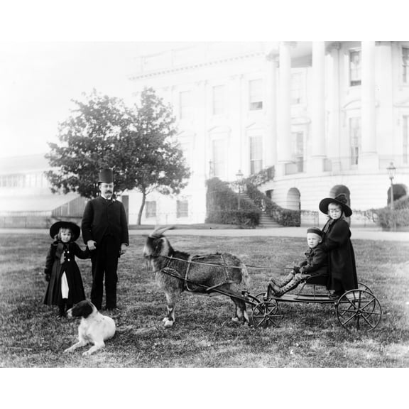 Print: White House--Major Russell Harrison And Harrison Children--Baby