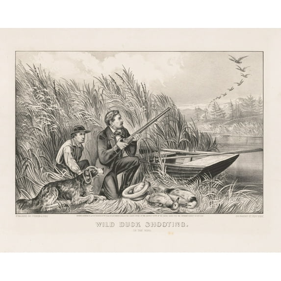 Print: Wild Duck Shooting: On The Wing, 1870