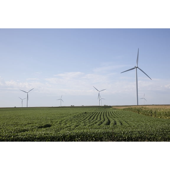 Print: Wind Turbines, Rural Missouri, 2009