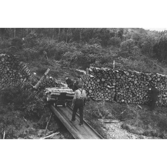 Print: Wood Chopper's Station With Fuel For Steamers On The Upper Yukon