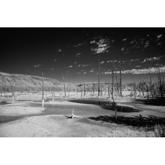 Print: Yellowstone National Park, Wyoming, 2007