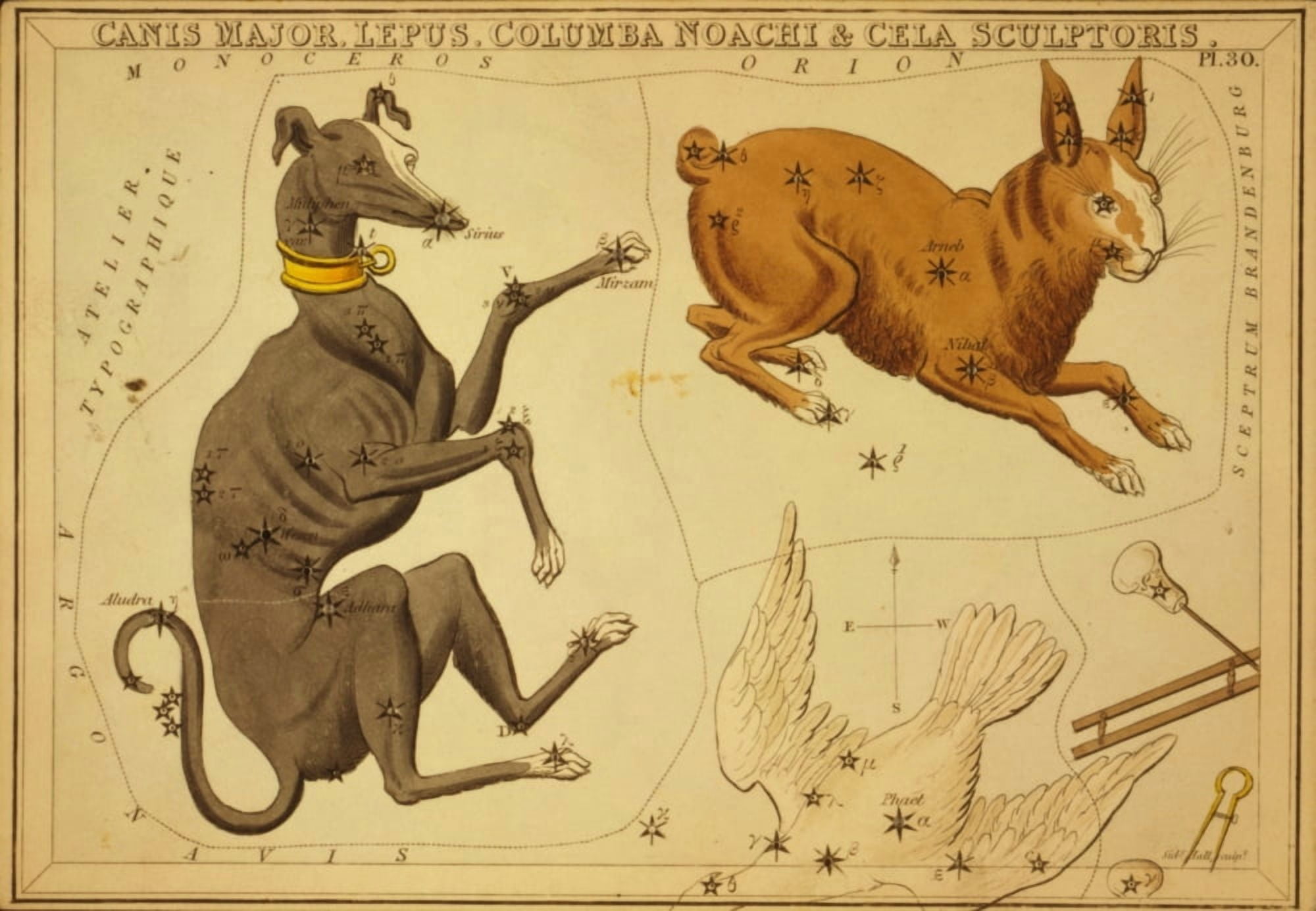 Print c1825 Canis Major Lepus Canvas Art - Sidney Hall (18 x 24)