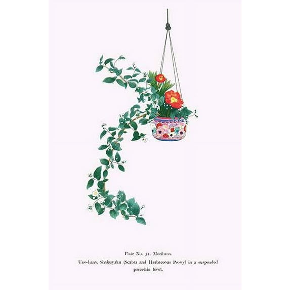 Print from a collection of Japanese flower arrangements known as Ikebana. Uno-Hana and Shakuyaku (Scabra & Herbaceous Peony) in a suspended porcelain bowl Poster Print by Josiah Conder (18 x 24)