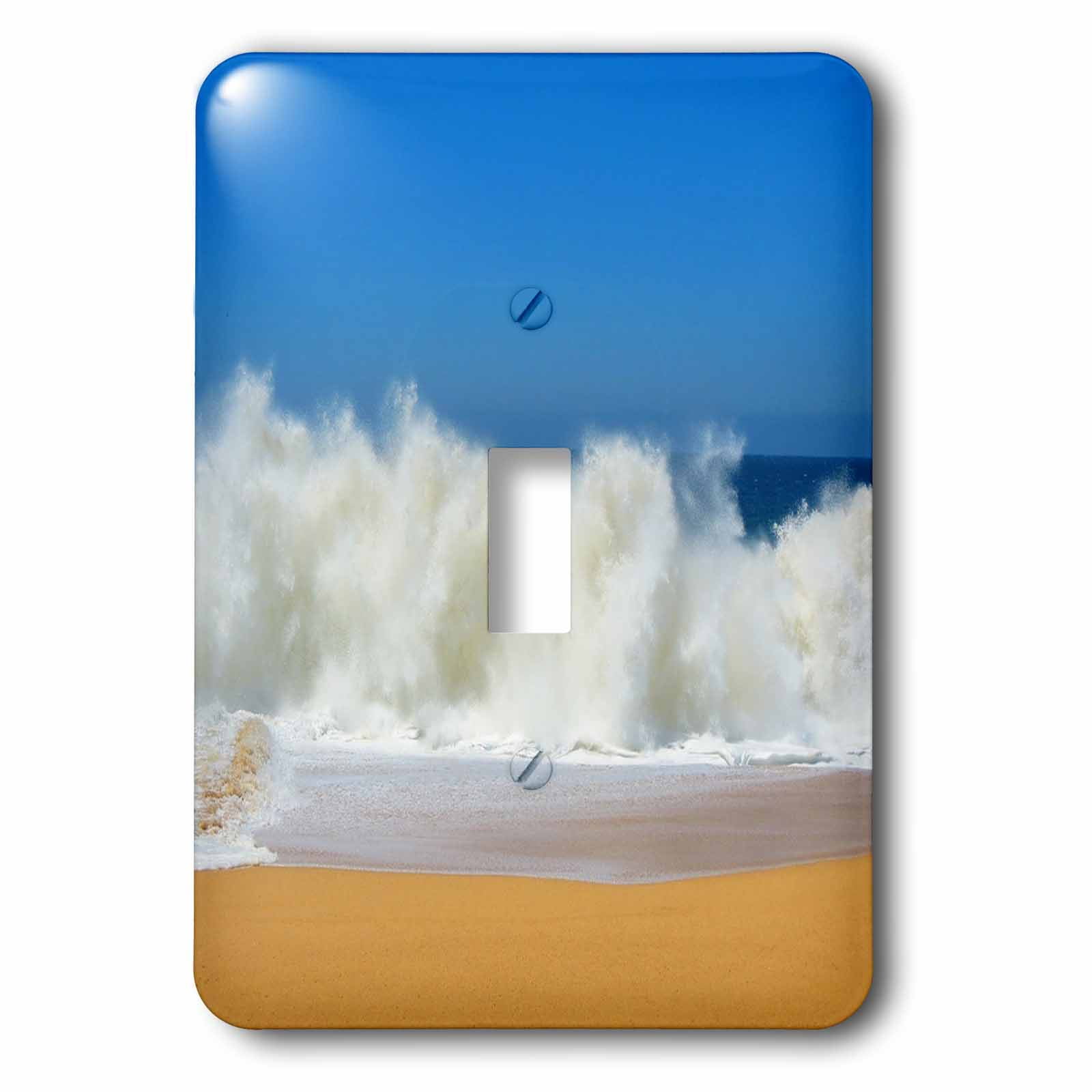3dRose, Print of Beautiful Windy Waves On Beach, single toggle switch ...